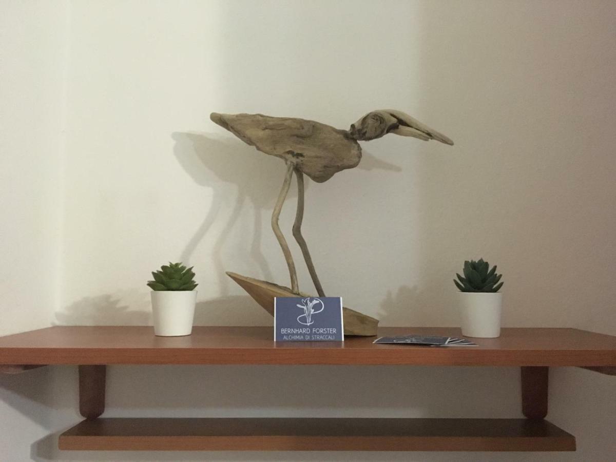 Il Mio Piccolo Angolo Di Mare Leilighet Viareggio Eksteriør bilde